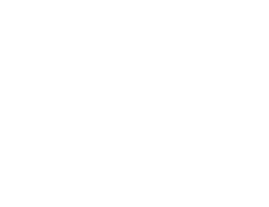 lois logo white