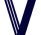 visualsoft-logo